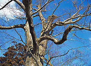 《WWE 2K23》海量细节 约翰·塞纳深度参与本作